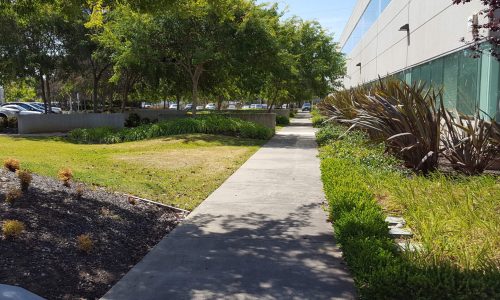 A shaded concrete pathway alongside greenery and a modern building.