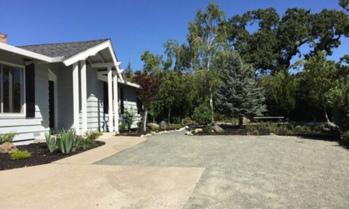 A modern house with a clean driveway and lush green trees in the background under a clear blue sky.