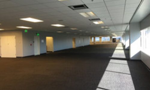Empty office corridor with carpet and fluorescent lights.