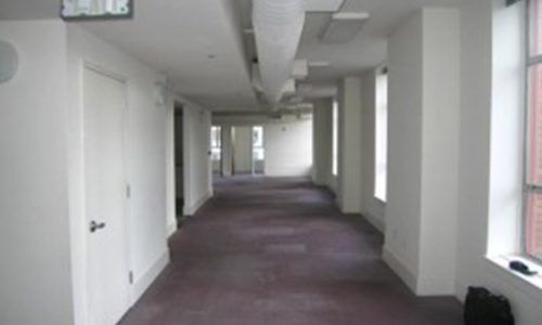 Empty hallway with closed white doors and purple carpet.